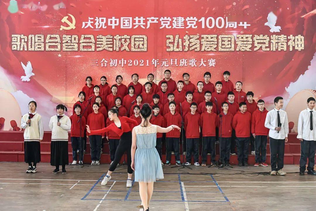中国小动物保护协会直播分享两只被救助的猫咪状态